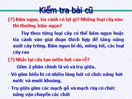 Bài giảng Sinh học Lớp 6 - Tiết 15: Cấu tạo của thân non