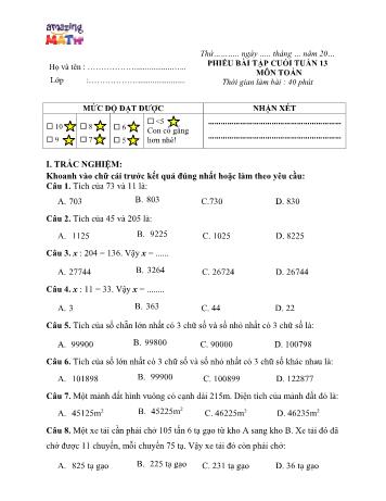 Phiếu bài tập Toán Lớp 4 - Tuần 13