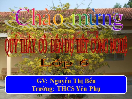 Bài giảng Công nghệ Lớp 6 - Cắm hoa - Nguyễn Thị Bến