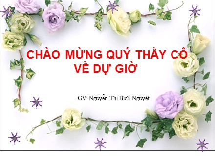 Bài giảng Đại số Lớp 6 - Tiết 62: Luyện tập - Nguyễn Thị Bích Nguyệt