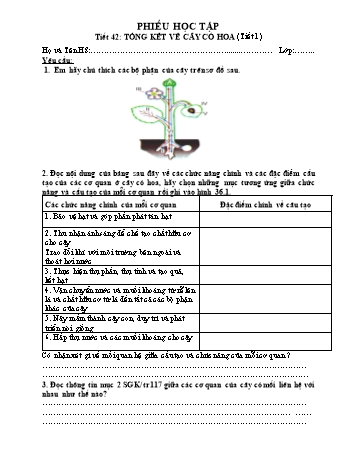 Phiếu học tập Sinh học Lớp 6 - Tiết 42: Tổng kết về cây có hoa (Tiết 1)