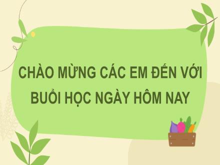 Bài giảng Công nghệ Lớp 7 Sách KNTT - Chương I, Bài 1: Giới thiệu về trồng trọt