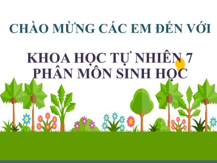 Bài giảng KNTN Lớp 7 - Chương IX, Bài 36: Khái quát về sinh trưởng và phát triển ở sinh vật (2 tiết)