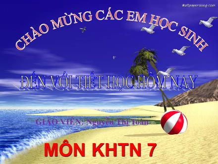 Bài giảng KNTN Lớp 7 Sách KNTT - Tiết 10, Bài 3: Nguyên tố hóa học - Nguyễn Thị Toàn