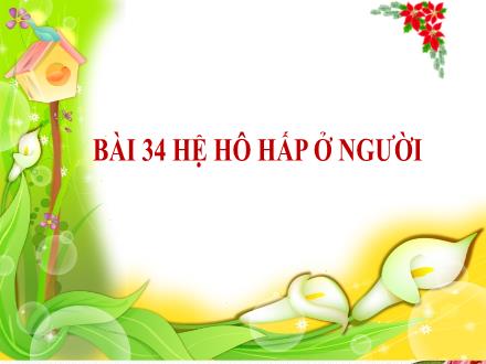 Bài giảng KNTN Lớp 8 Sách KNTT - Bài 34: Hệ hô hấp ở người
