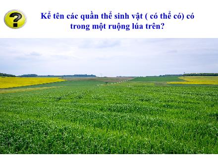Bài giảng KNTN Lớp 8 Sách KNTT - Bài 43: Quần xã sinh vật