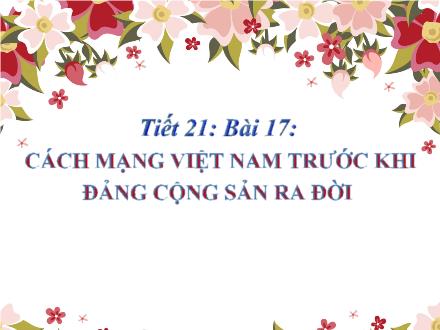 Bài giảng Lịch sử Lớp 9 - Tiết 21, Bài 17: Cách mạng Việt Nam trước khi đảng cộng sản ra đời