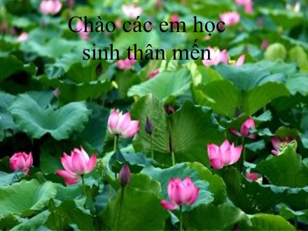 Bài giảng Ngữ văn Lớp 7 - Tiết 60: Làm thơ lục bát