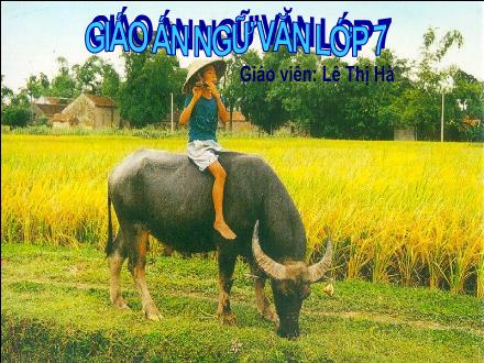 Bài giảng Ngữ văn Lớp 7 - Tiết 73: Tục ngữ về thiên nhiên và lao động sản xuất - Lê Thị Hà