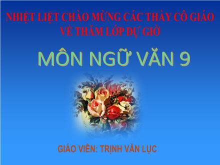 Bài giảng Ngữ văn Lớp 9 - Bài 7: Trau dồi vốn từ - Trịnh Văn Lục