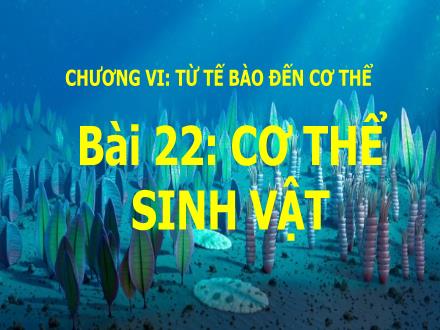 Bài giảng Sinh học Lớp 6 Sách KNTT - Chương VI, Bài 22: Cơ thể sinh vật