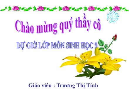 Bài giảng Sinh học Lớp 9 - Bài 9: Nguyên phân - Trương Thị Tính