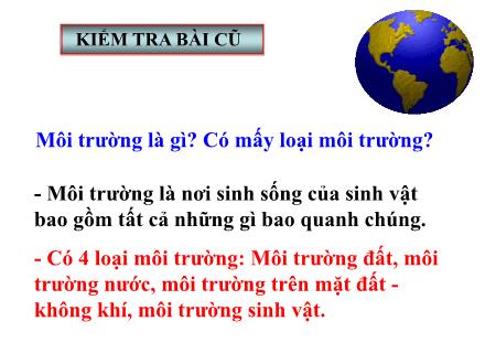 Bài giảng Sinh học Lớp 9 - Tiết 57, Bài 54: Ô nhiễm môi trường