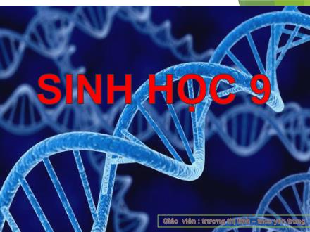 Bài giảng Sinh học Lớp 9 - Tiết 8, Bài 8: Nhiễm sắc thể