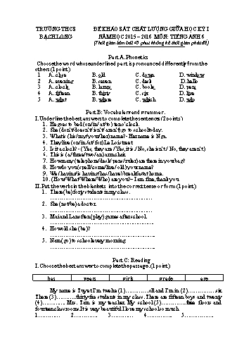 Đề khảo sát chất lượng giữa học kỳ I môn Tiếng Anh 6 - Năm học 2015-2016 - Trường THCS Bạch Long