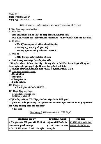 Giáo án Sinh học Lớp 9 - Bài 22+23 - Năm học 2019-2020