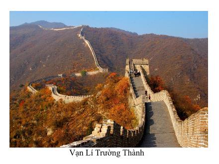 Bài giảng Lịch sử Lớp 8 - Tiết 14, Bài 10: Trung Quốc cuối thế kỉ XIX - đầu thế kỉ XX