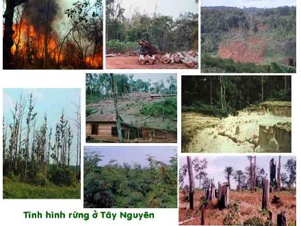 Bài giảng Ngữ văn Lớp 6 - Tiết 123+124, Bài 30: Văn bản Bức thư của thủ lĩnh da đỏ