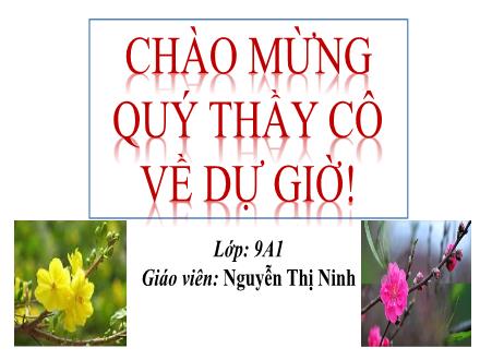 Bài giảng Ngữ văn Lớp 9 - Bài 2: Mùa xuân nho nhỏ (Tiết 2) - Nguyễn Thị Ninh